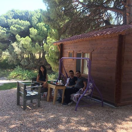 Morkoyun Bungalov Kamp Mordogan Kültér fotó