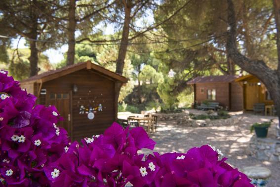 Morkoyun Bungalov Kamp Mordogan Kültér fotó